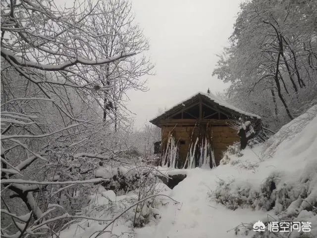 古往今来,为何隐士、修行者会首选终南山隐逸修行?