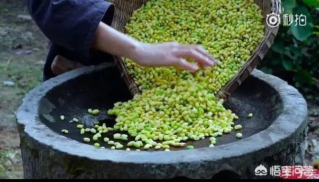 有没有人觉得日食记一类的美食视频看着很假?