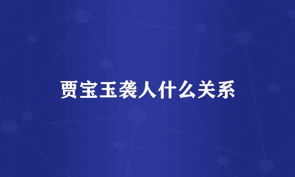 贾宝玉袭人什么关系