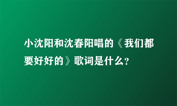 小沈阳和沈春阳唱的《我们都要好好的》歌词是什么?