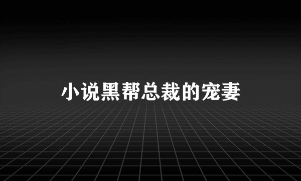 小说黑帮总裁的宠妻