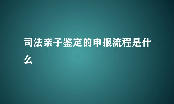 司法亲子鉴定的申报流程是什么