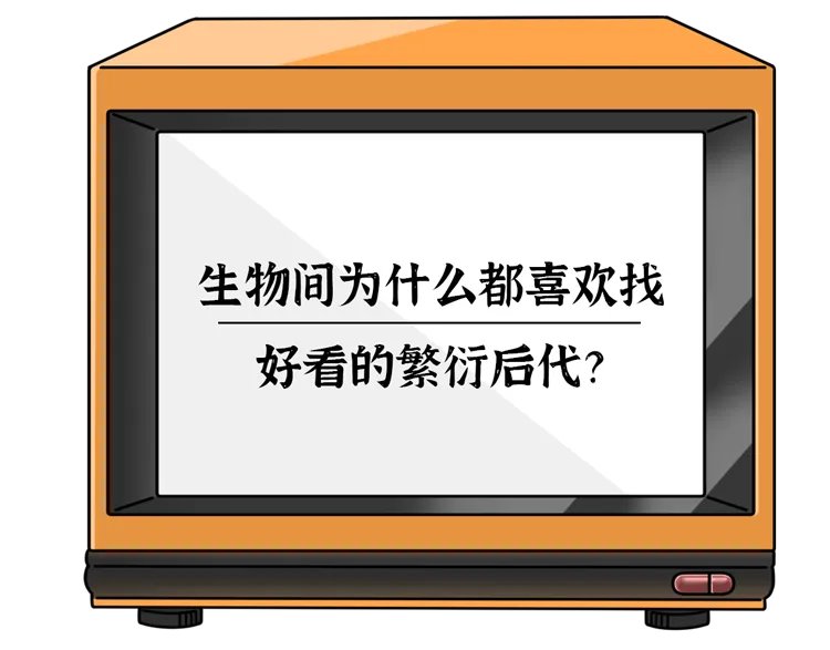 为什么男人更喜欢漂亮的女人?科学解释:“好色”不是男人的错