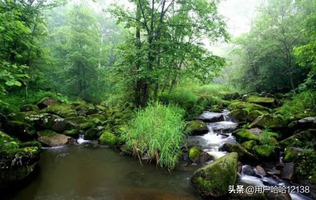 伊春必看景点?