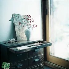 vintage是什么牌子?vintage是哪个国家的?