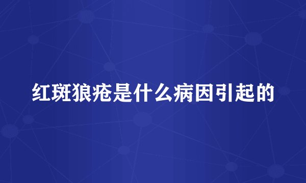红斑狼疮是什么病因引起的