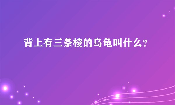 背上有三条棱的乌龟叫什么?