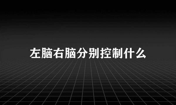 左脑右脑分别控制什么