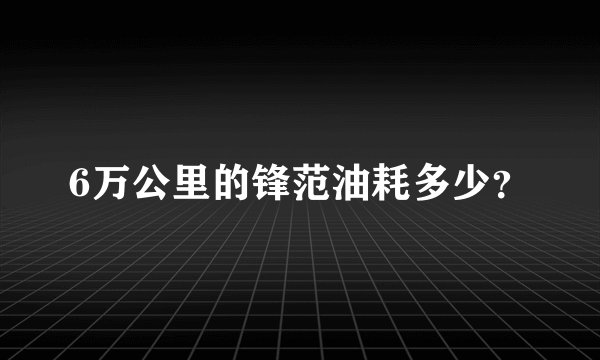6万公里的锋范油耗多少?