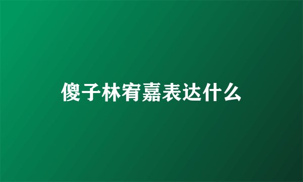 傻子林宥嘉表达什么