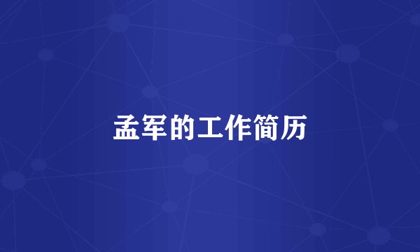 孟军的工作简历