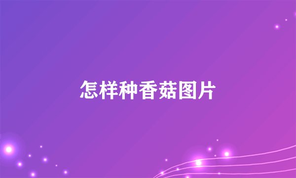 怎样种香菇图片