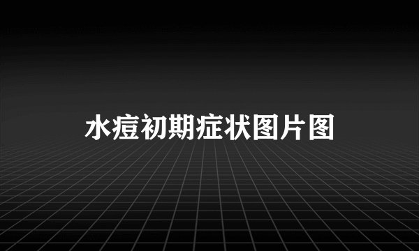 水痘初期症状图片图