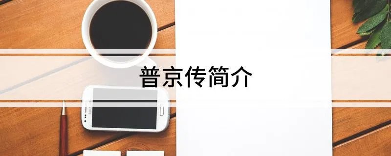 普京传简介