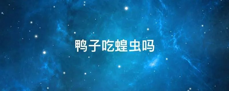 鸭子吃蝗虫吗