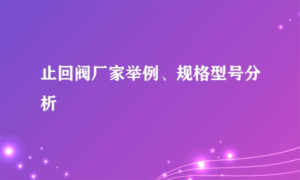 止回阀厂家举例、规格型号分析