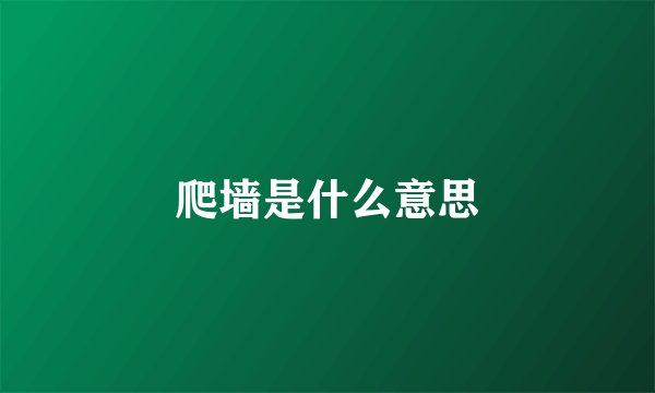 爬墙是什么意思