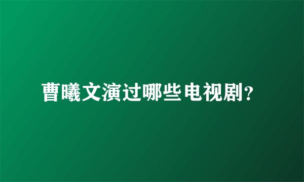 曹曦文演过哪些电视剧？