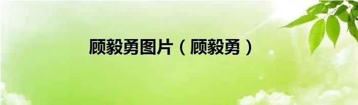 顾毅勇图片（顾毅勇）