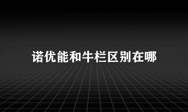 诺优能和牛栏区别在哪