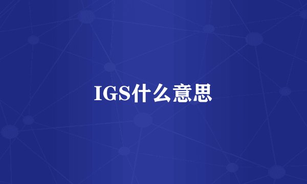 IGS什么意思