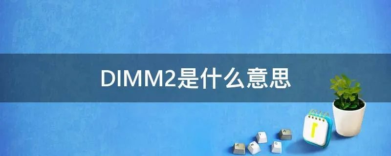 DIMM2是什么意思