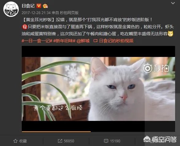 有没有人觉得日食记一类的美食视频看着很假?