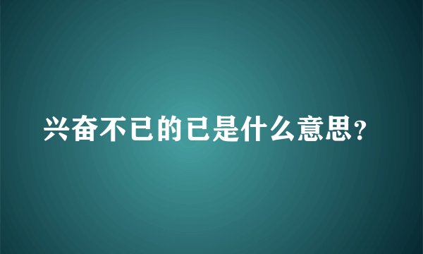兴奋不已的已是什么意思?