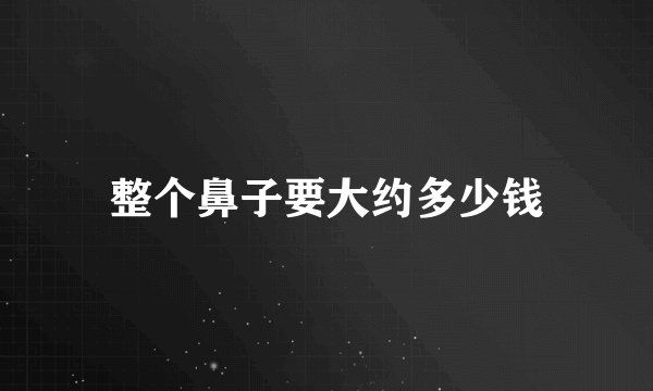 整个鼻子要大约多少钱