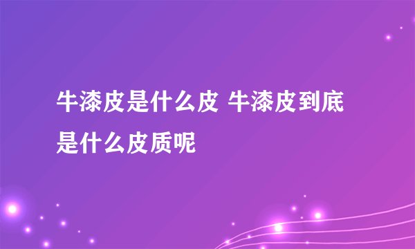 牛漆皮是什么皮 牛漆皮到底是什么皮质呢