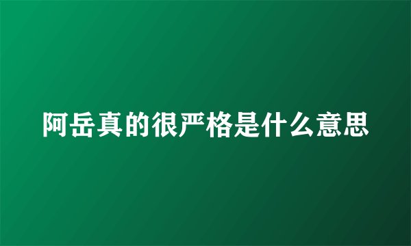 阿岳真的很严格是什么意思
