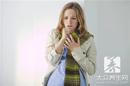 车前草的功效与作用及食用方法是什么