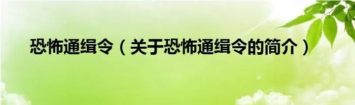 恐怖通缉令（关于恐怖通缉令的简介）