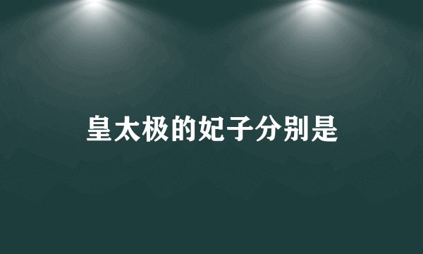 皇太极的妃子分别是