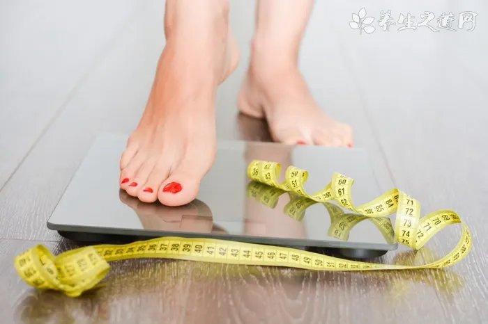 信阳毛尖简介