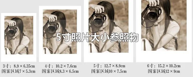 5寸照片大小参照物