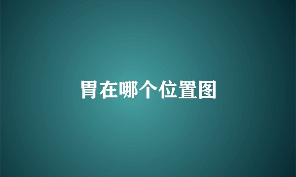 胃在哪个位置图