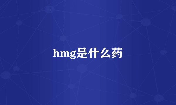 hmg是什么药