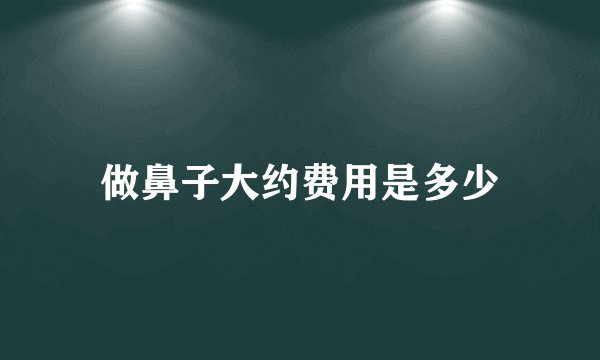 做鼻子大约费用是多少