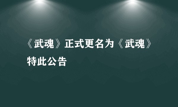 《武魂》正式更名为《武魂》 特此公告