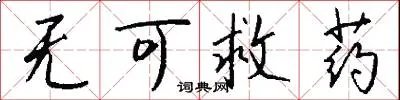 无可救药