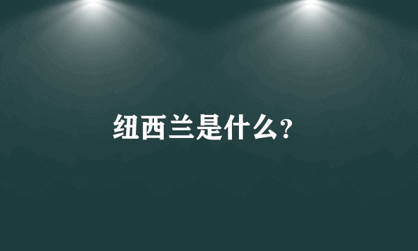 纽西兰是什么?