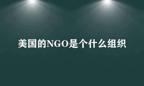 美国的NGO是个什么组织