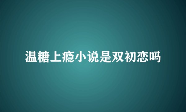 温糖上瘾小说是双初恋吗