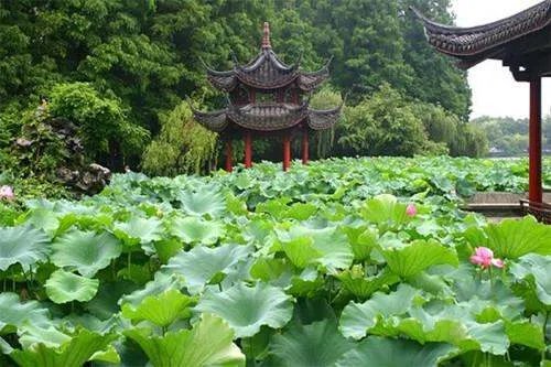 杭州西湖十大景点有那些