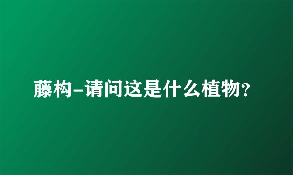 藤构-请问这是什么植物？