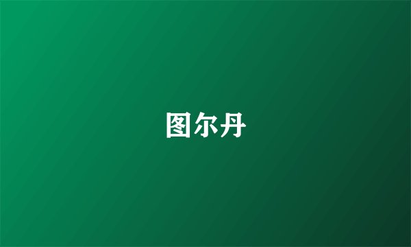 图尔丹