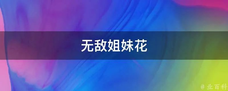 无敌姐妹花