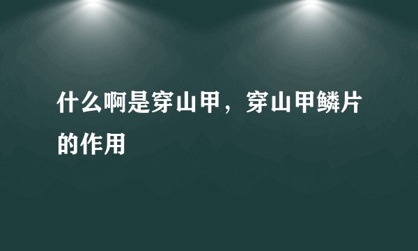什么啊是穿山甲,穿山甲鳞片的作用