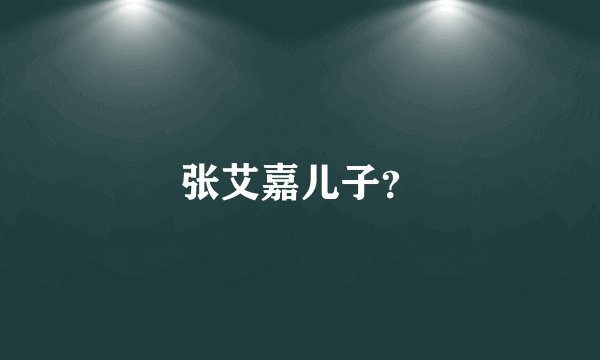 张艾嘉儿子？